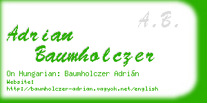 adrian baumholczer business card